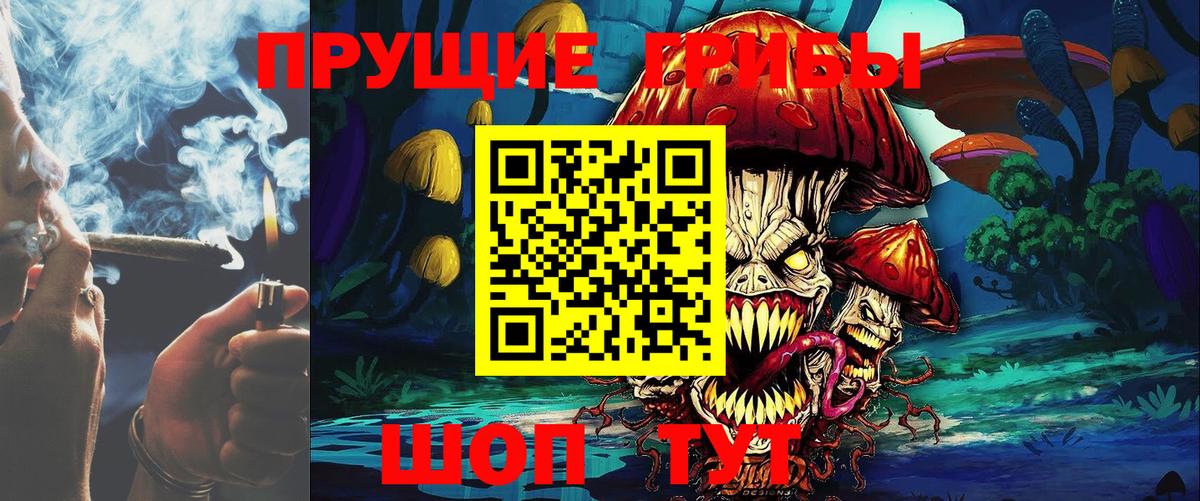 Галлюциногенные грибы MAGIC MUSHROOMS  Вход с VPN  Братск 